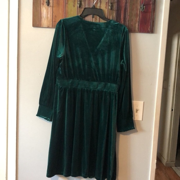 Briggs NWT Long Sleeve Velvet Dress - Picture 4 of 14